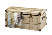 Steamer-Trunk-in-Painted-Maple